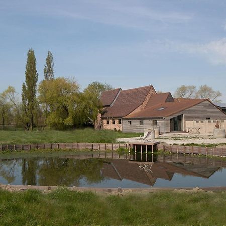 Landelijk Vakantiehuis In Diksmuide Met Een Tuin En Vijver Ngoại thất bức ảnh