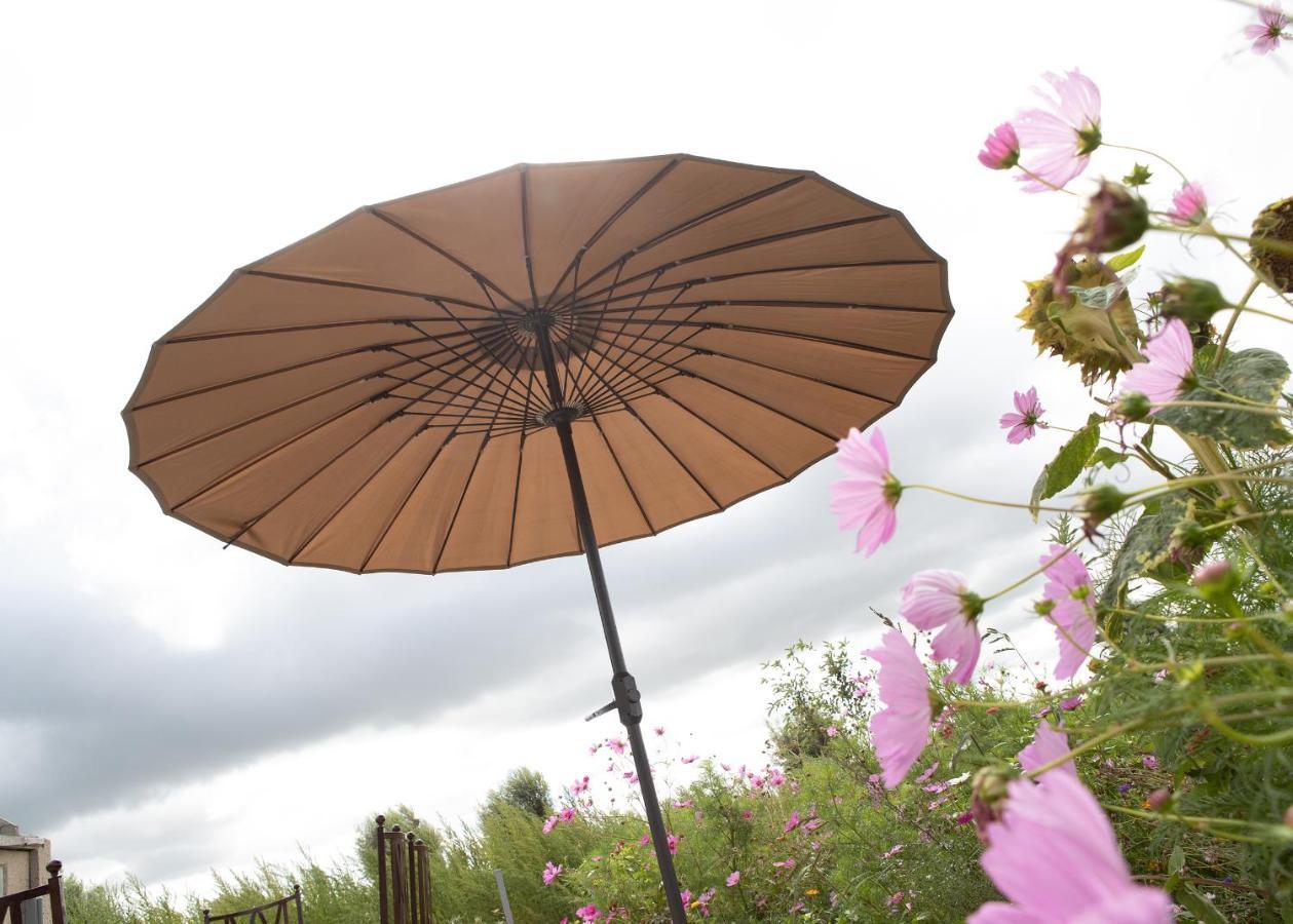 Landelijk Vakantiehuis In Diksmuide Met Een Tuin En Vijver Ngoại thất bức ảnh