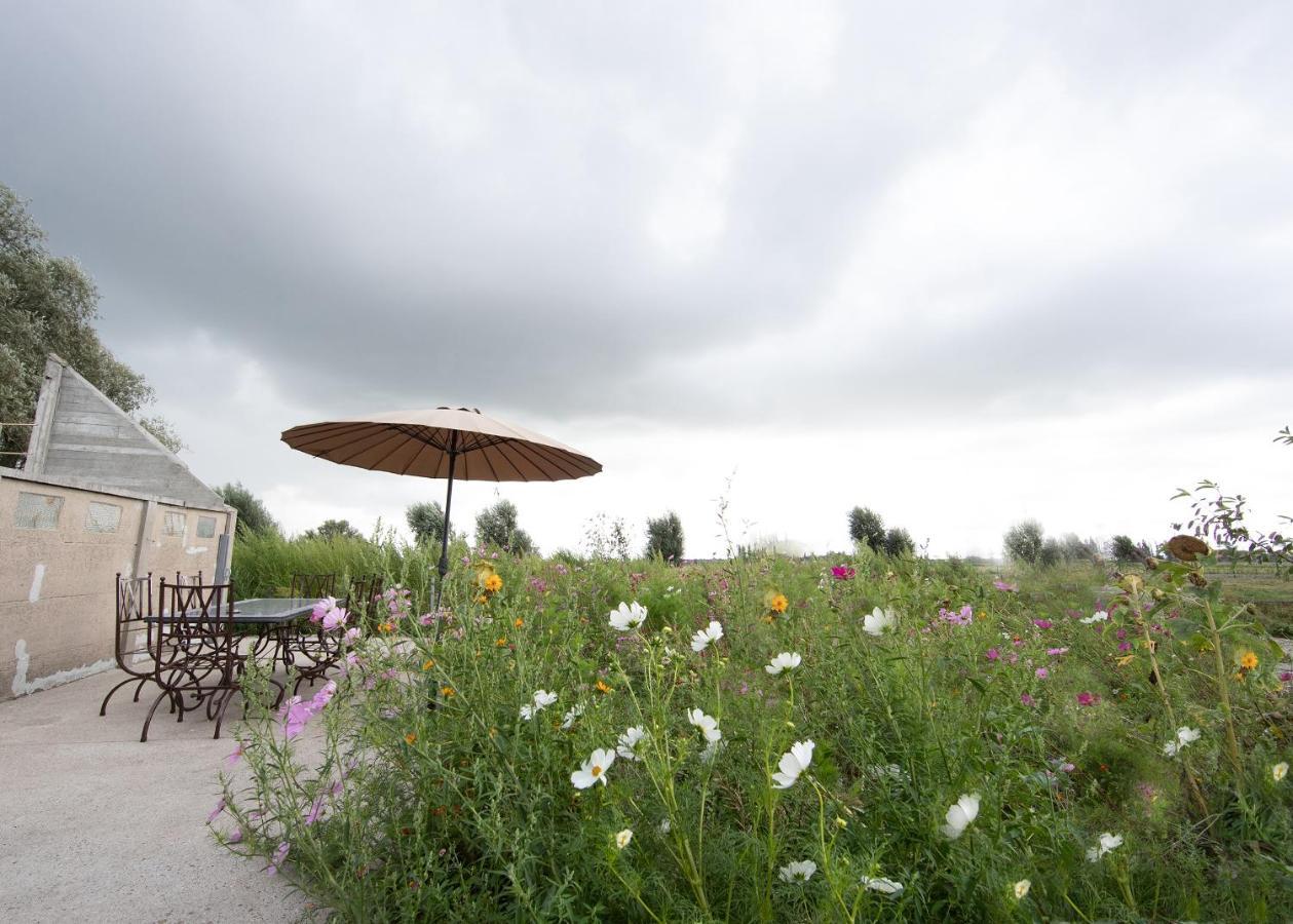 Landelijk Vakantiehuis In Diksmuide Met Een Tuin En Vijver Ngoại thất bức ảnh